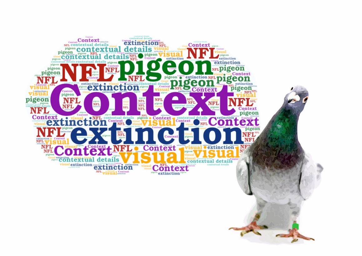 Transient inactivation of the  visual-associative nidopallium frontolaterale (NFL) impairs extinction learning  and context encoding in pigeons