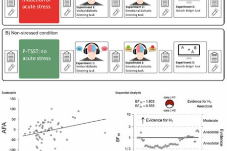 Dichotic  listening performance and interhemispheric integration after stress exposure