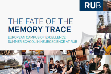 The Fate of the Memory Trace: Brochure Release!