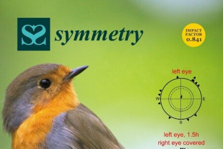 The ontogeny of the lateralized avian magnetic  compass 