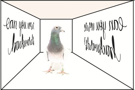 Do ‘literate’ pigeons show mirror-word  generalization?